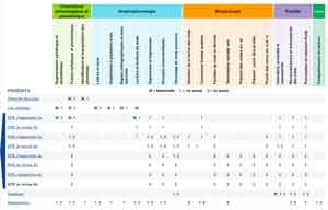 Progressions des apprentissages fondamentaux en Français langue seconde