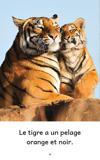 Extrait d'un livre pour enfants sur le tigre