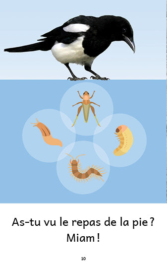 Extrait d'un livre sur la pie