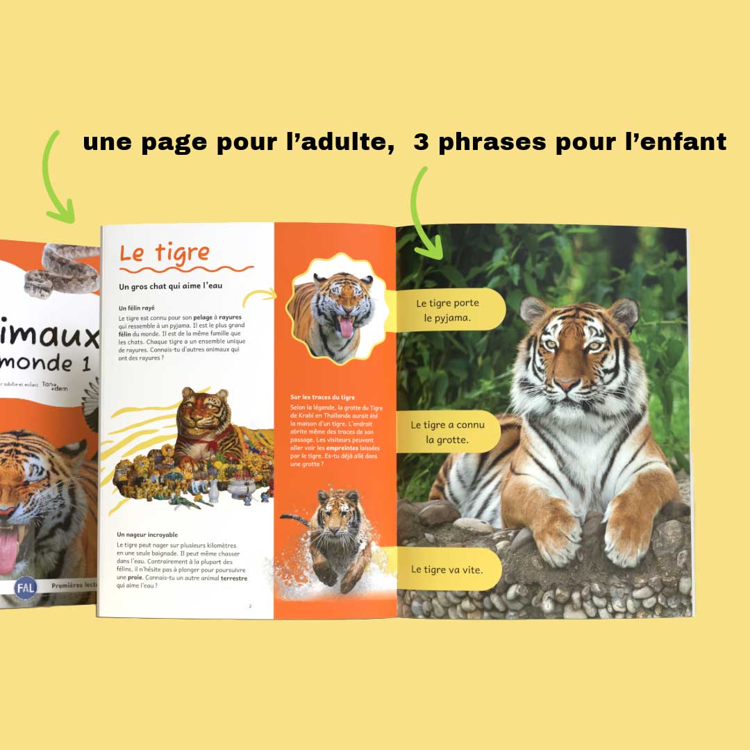 Tandem : Animaux du monde 1