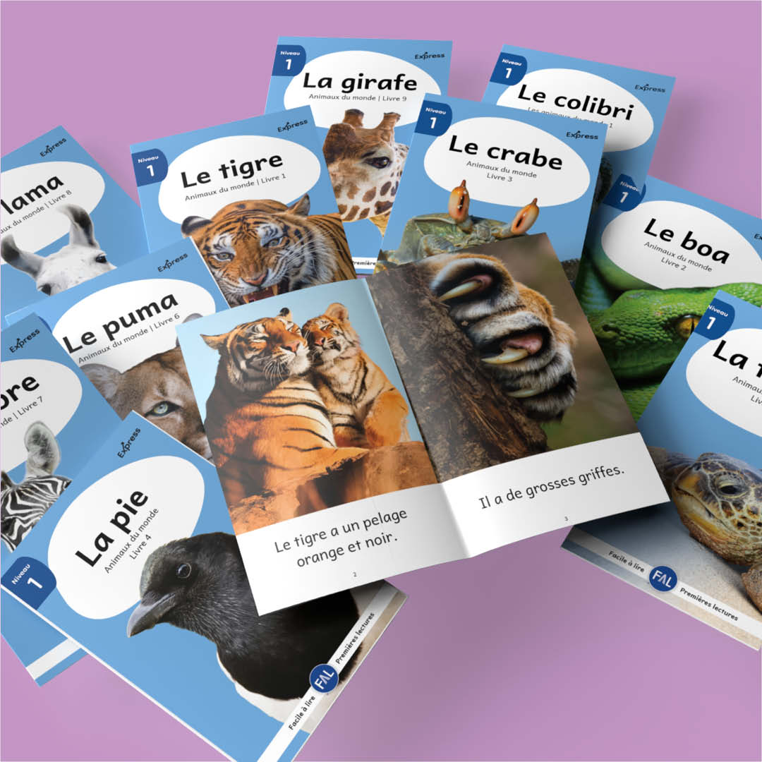 Animaux du monde 1 – Série de 10 livres (2026)