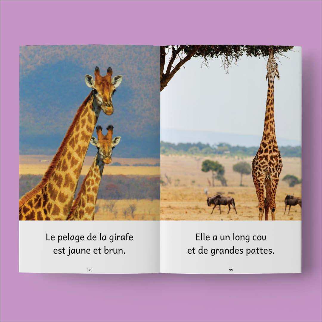 Animaux du monde 1 – Série de 10 livres (2026)