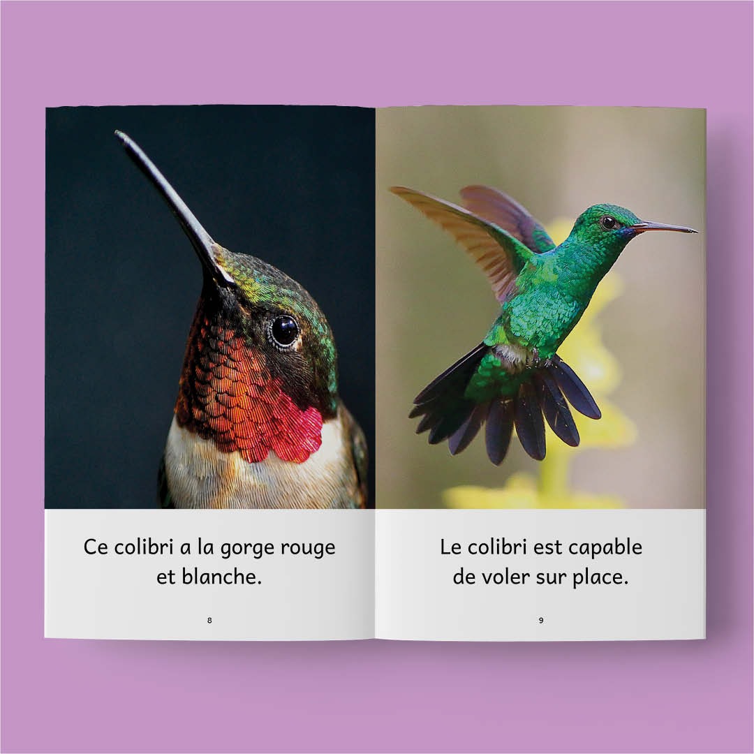 Animaux du monde 1 – Série de 10 livres (2026)
