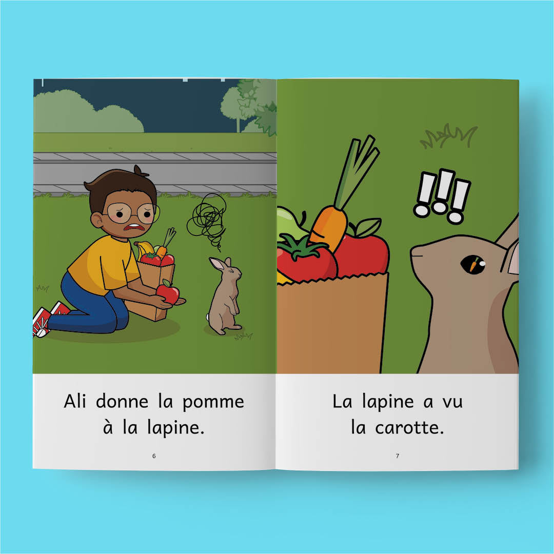 Je révise 1b - La vie d'Ali - Série de 20 livres