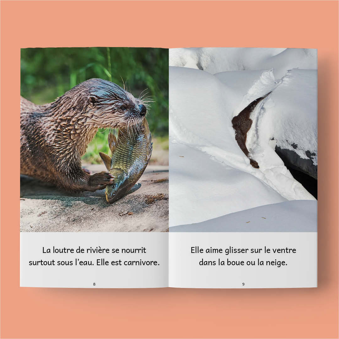 Animaux au Canada – Série de 10 livres (2026)