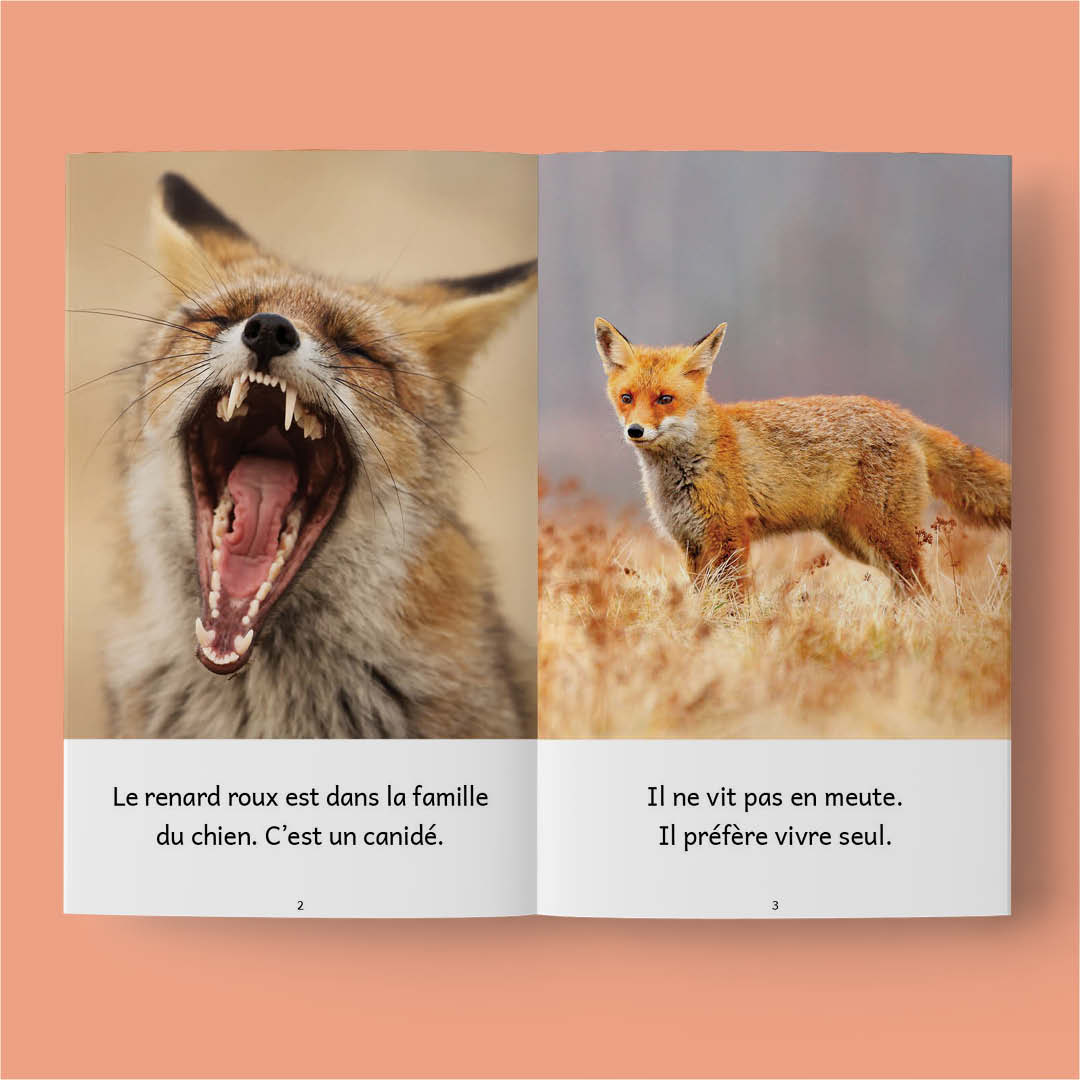 Animaux au Canada – Série de 10 livres (2026)