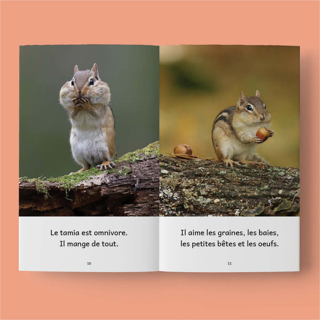 Animaux au Canada – Série de 10 livres (2026)