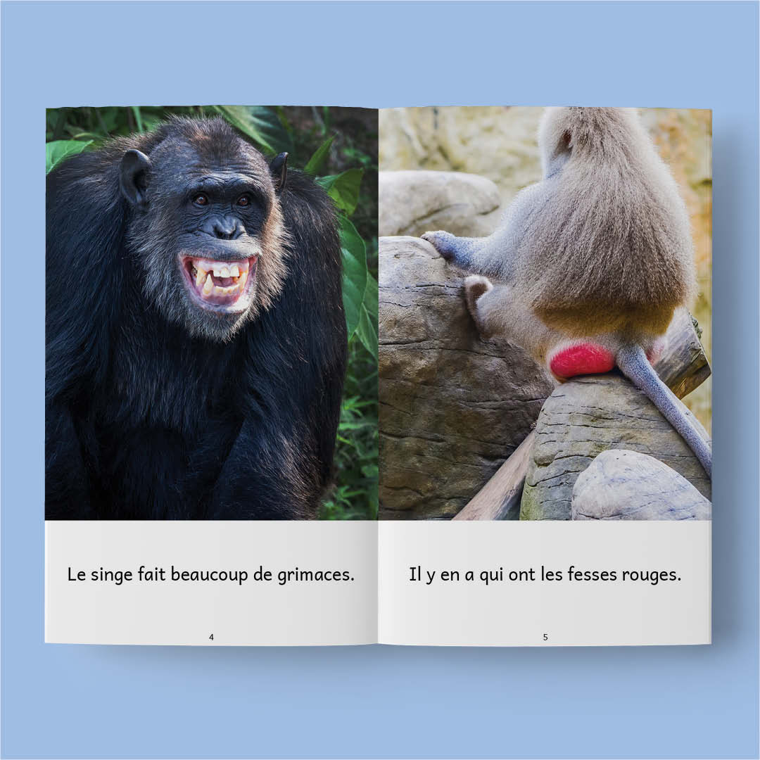 Animaux du monde 2 – Série de 10 livres (2026)