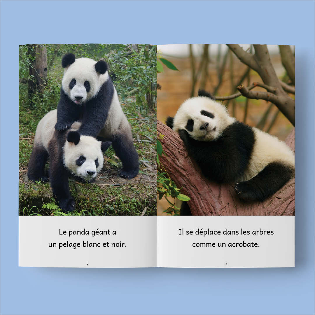 Animaux du monde 2 – Série de 10 livres (2026)