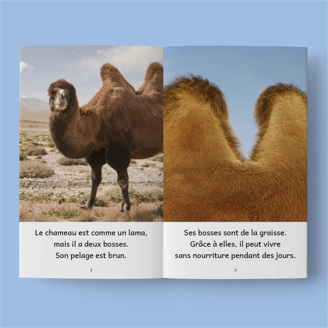Animaux du monde 2 – Série de 10 livres (2026)
