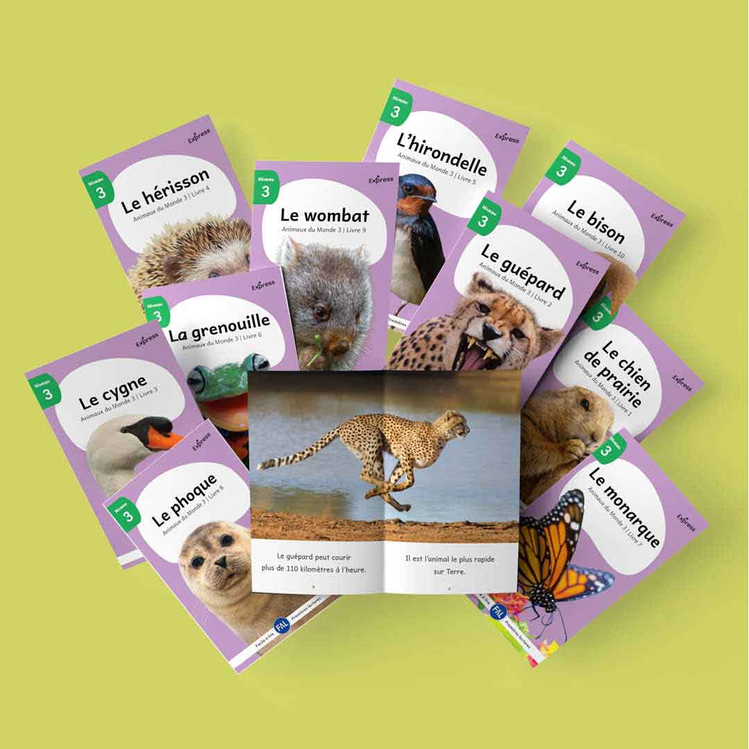 Livres Animaux du monde 3 en éventail