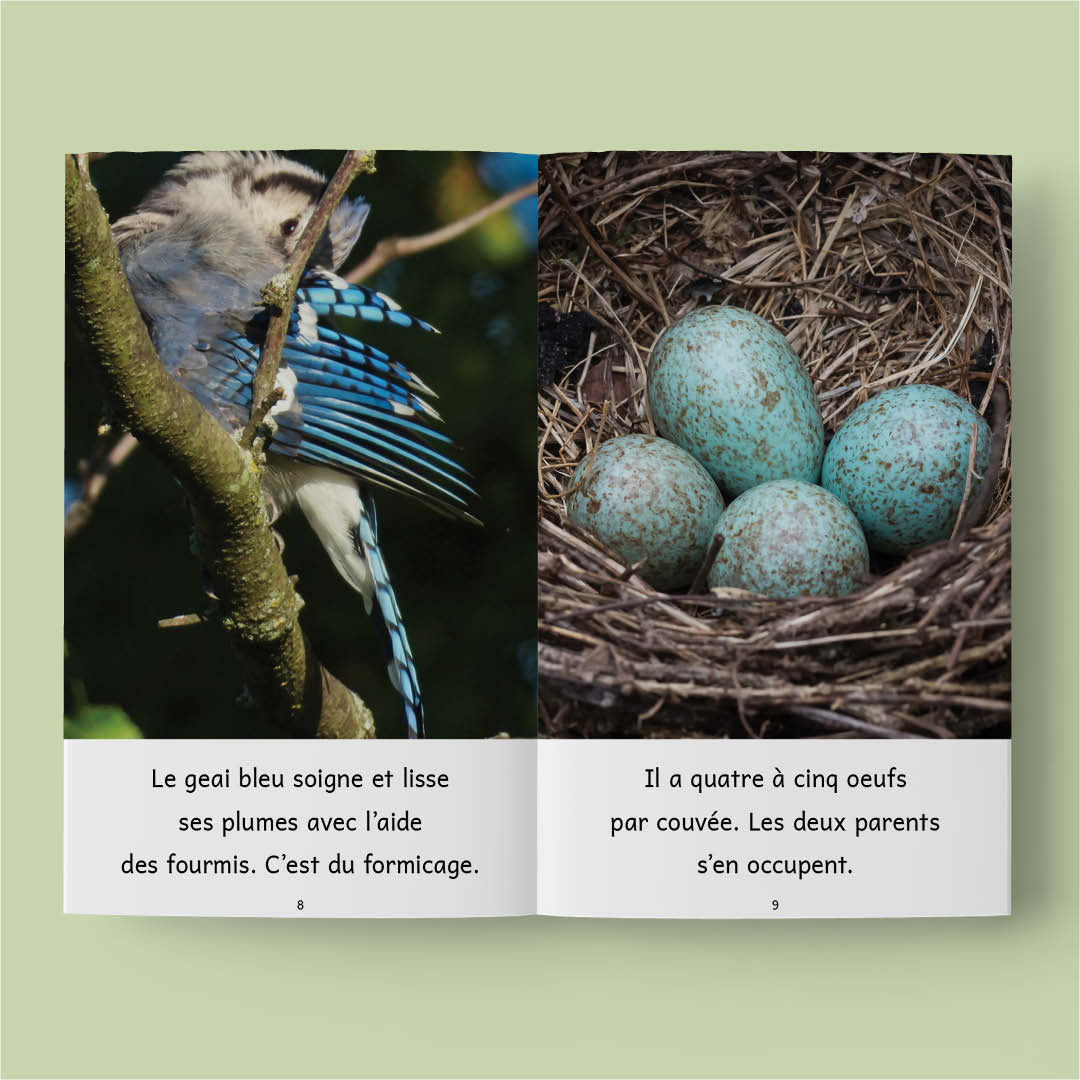 Animaux au Québec (French beginner readers)