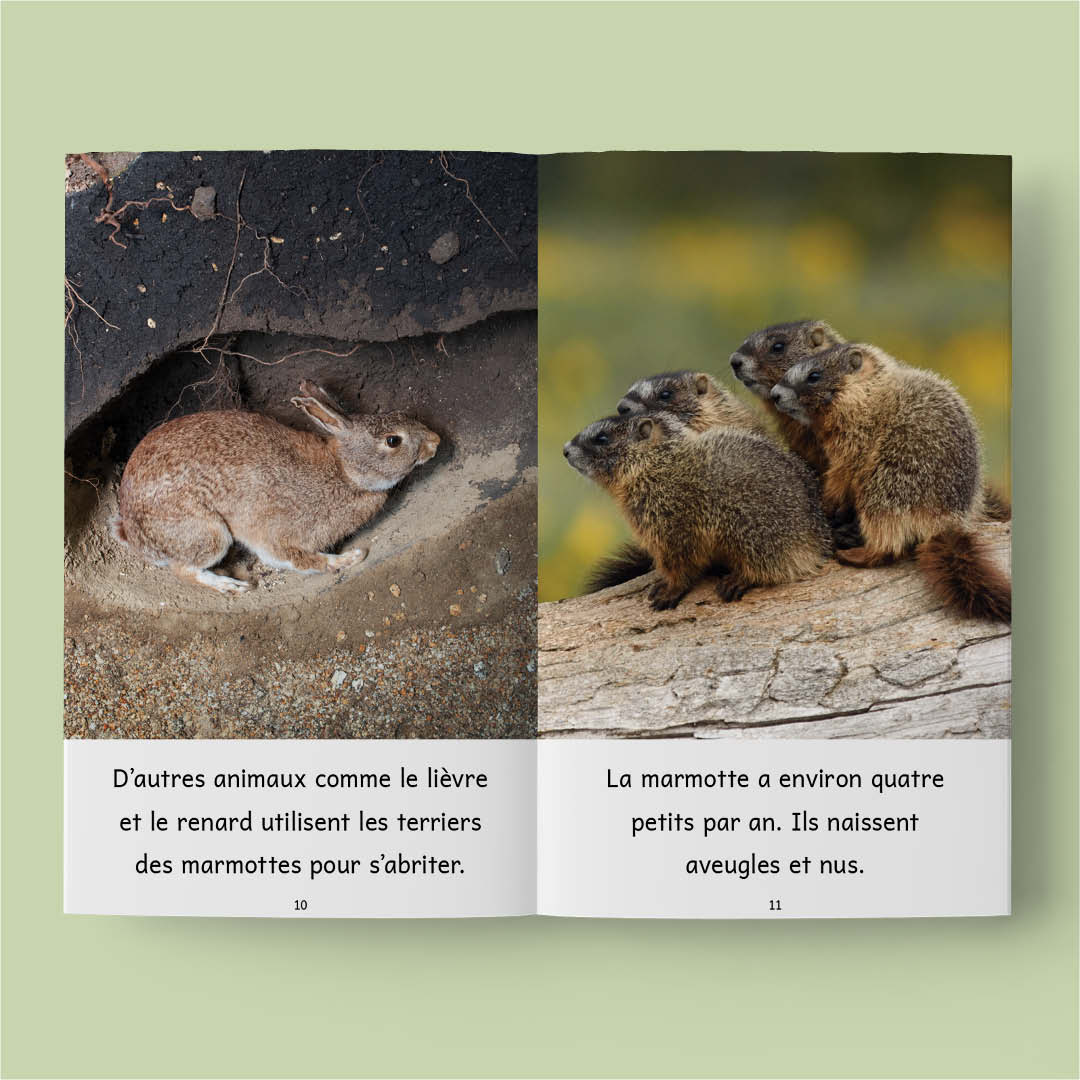 Animaux au Québec (French beginner readers)