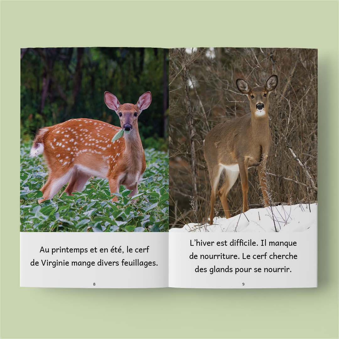 Animaux au Québec – Série de 10 livres