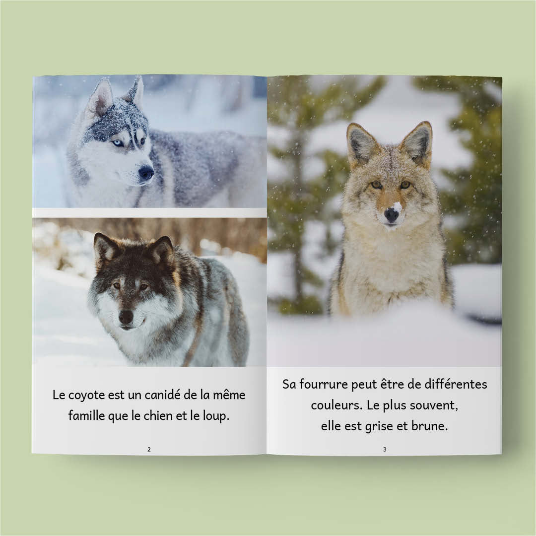Animaux au Québec – Série de 10 livres