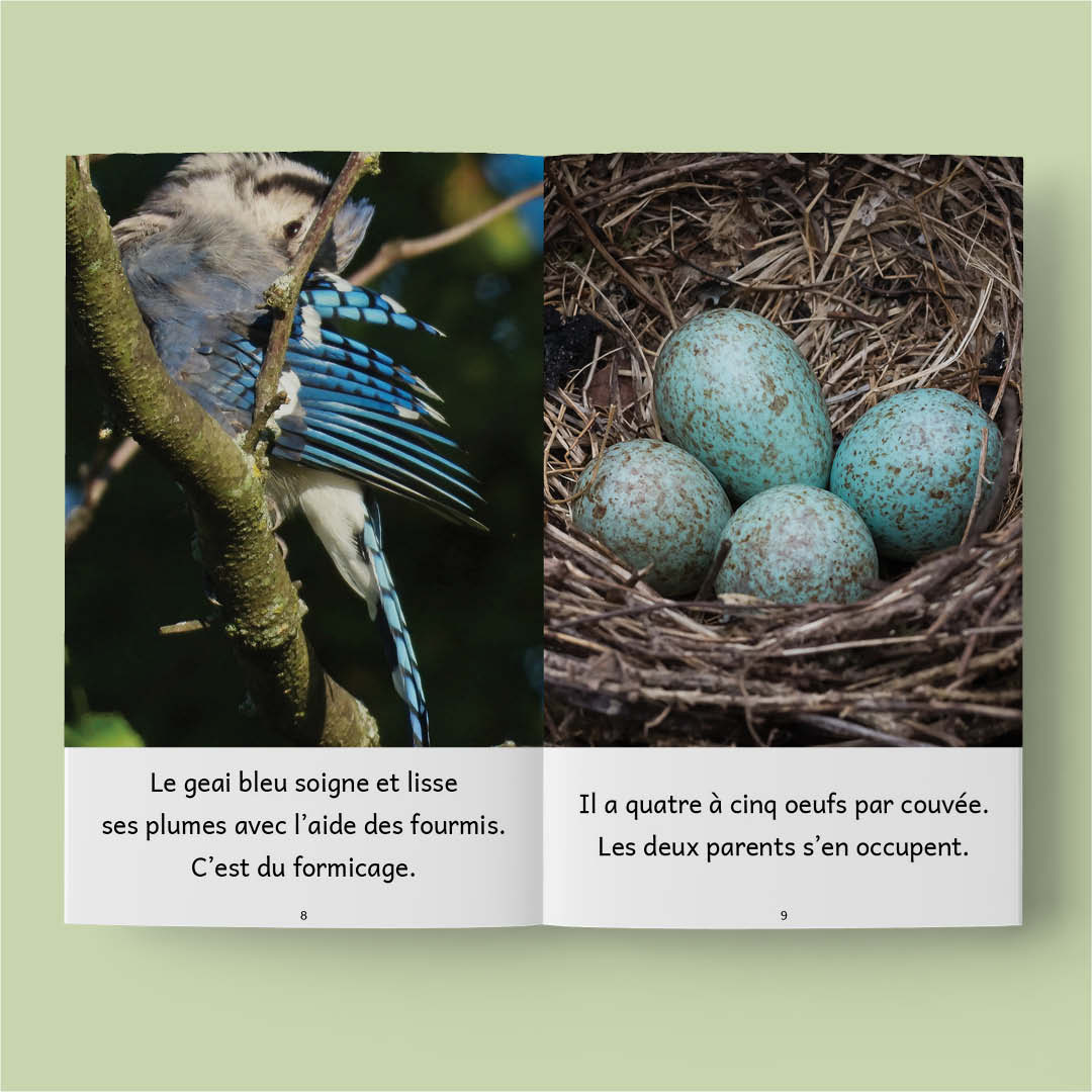 Animaux au Québec – Série de 10 livres