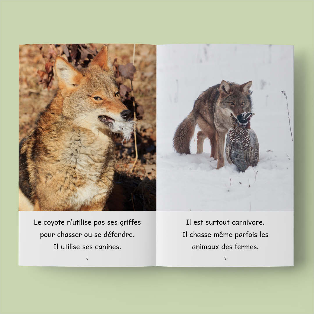 Animaux au Québec (French beginner readers)