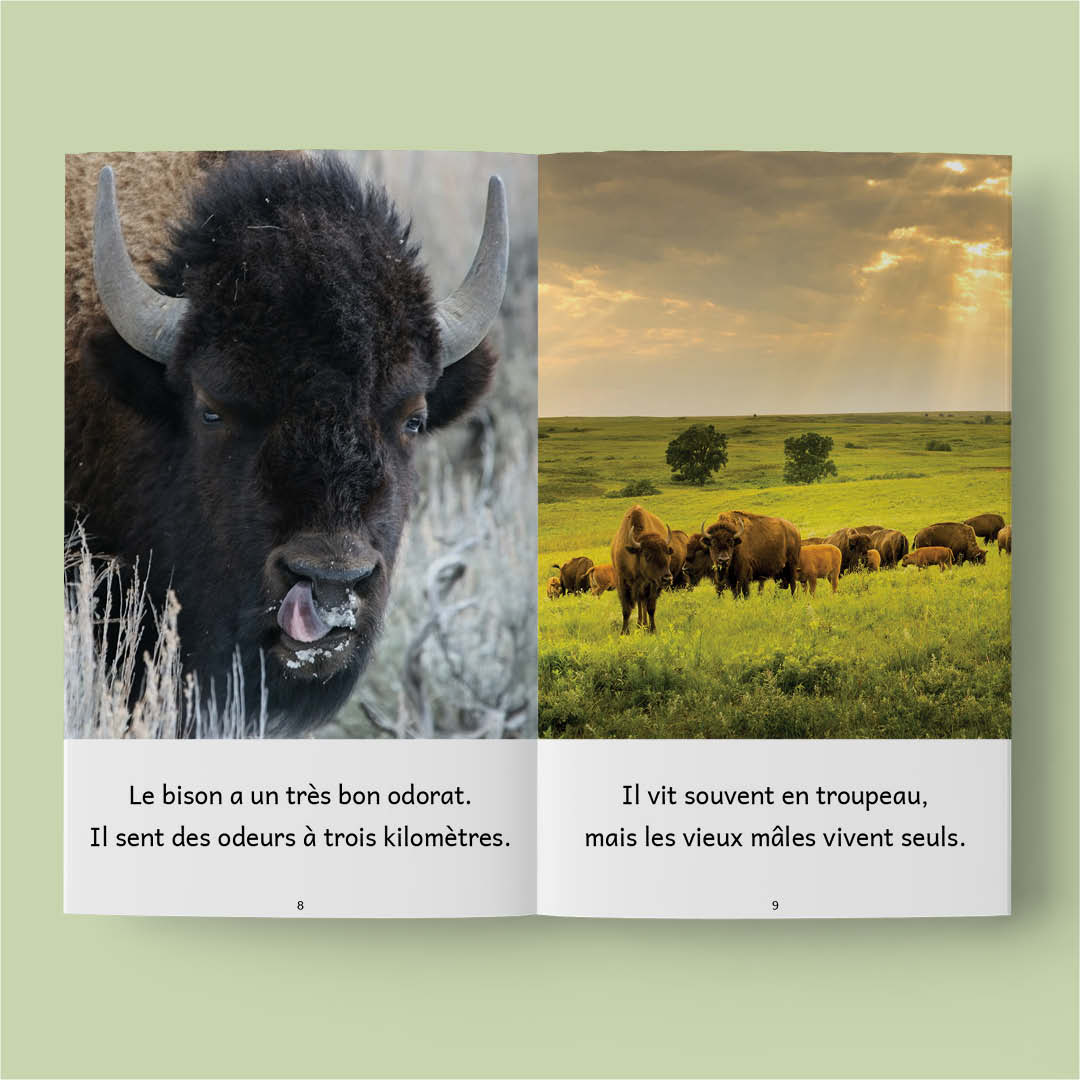 Animaux au Québec – Série de 10 livres