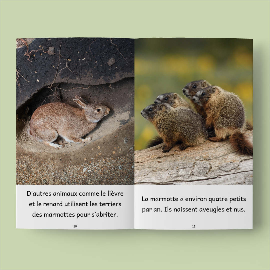 Animaux au Québec – Série de 10 livres