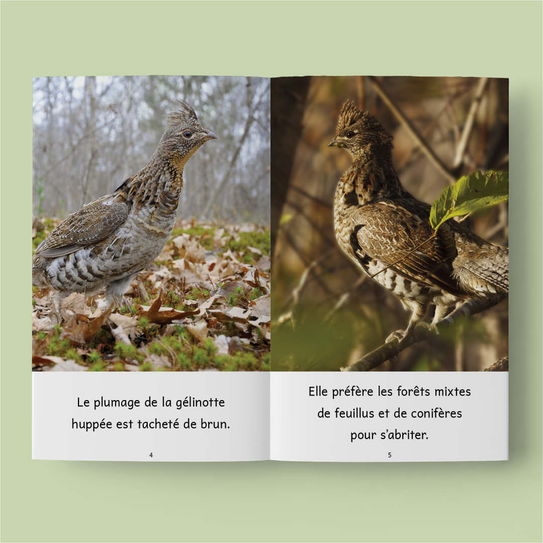 Animaux au Québec (French beginner readers)