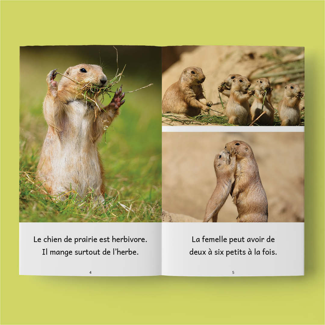 Animaux 3 – Série de 10 livres