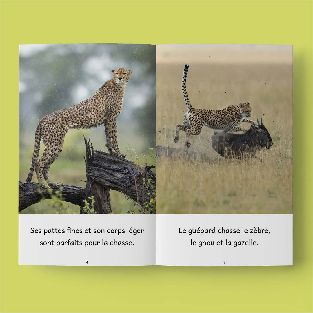 Animaux 3 – Série de 10 livres