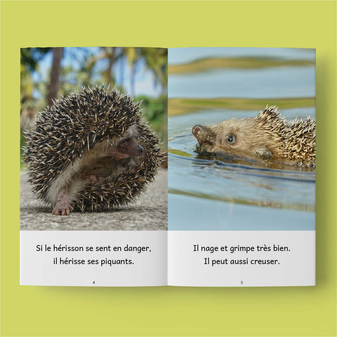 Animaux 3 – Série de 10 livres