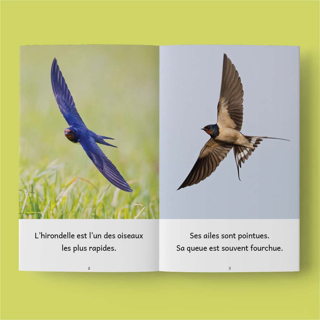 Animaux 3 – Série de 10 livres