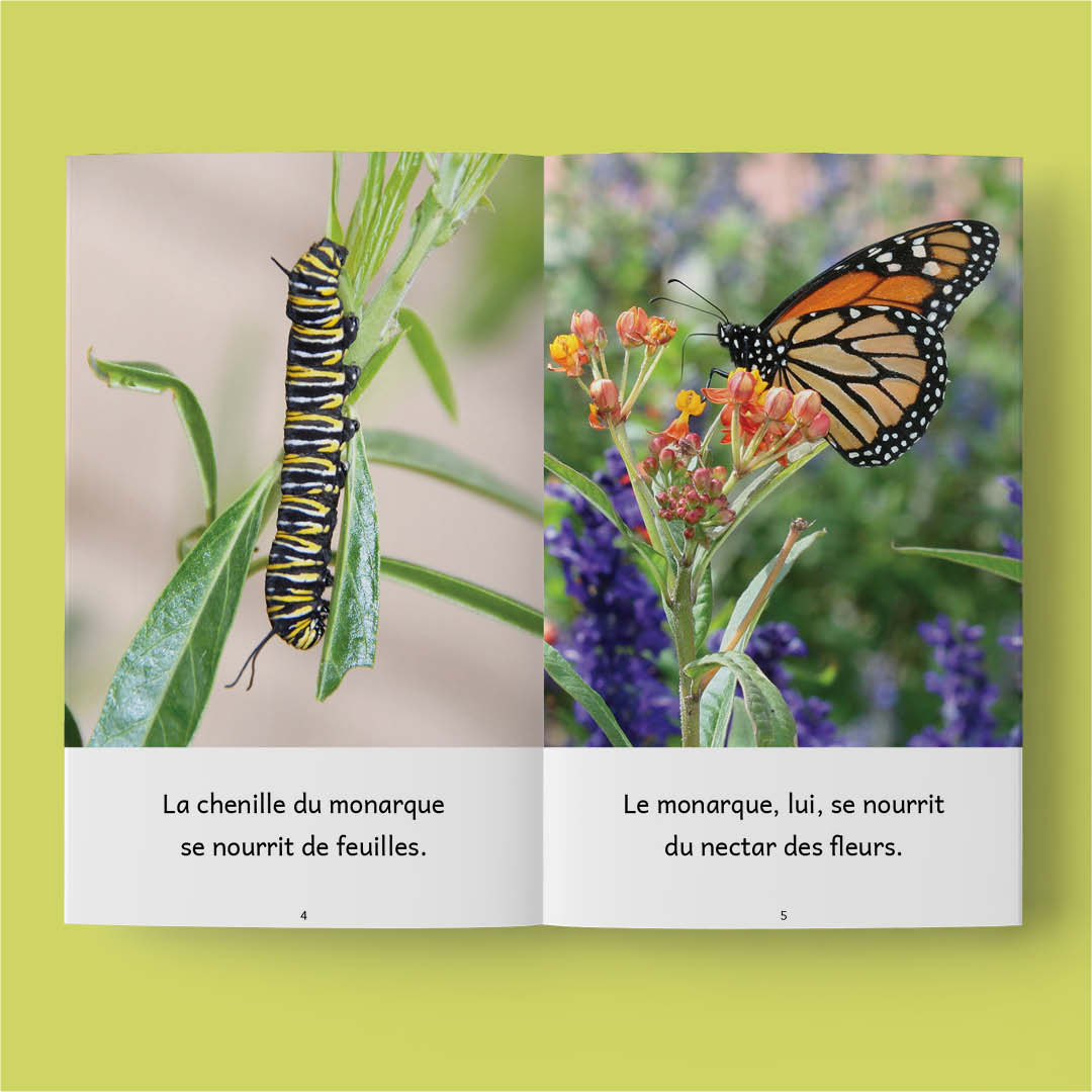 Animaux 3 – Série de 10 livres