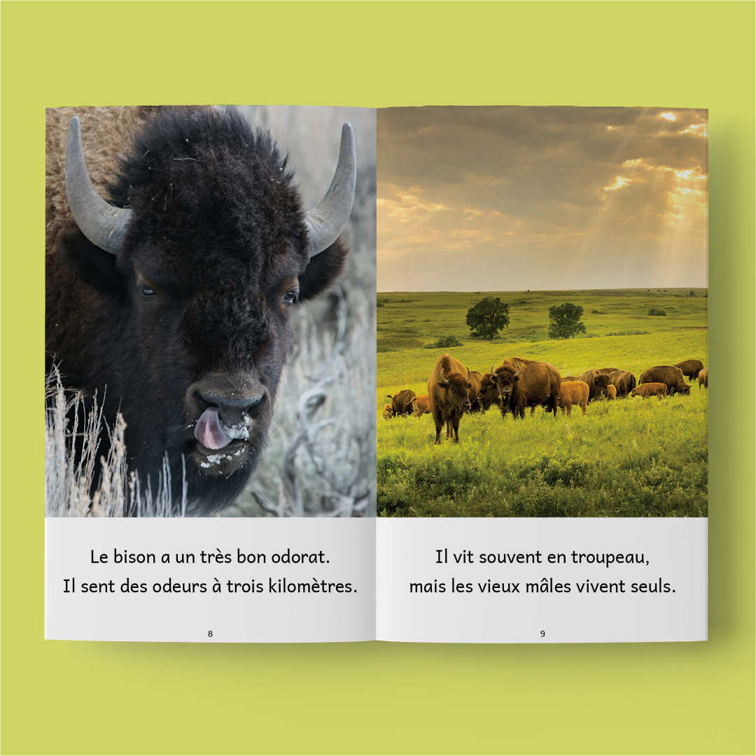 Animaux du monde 3 – Série de 10 livres