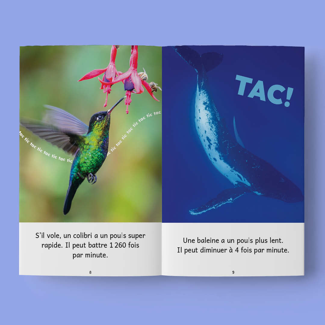 J'apprends 3a - Explorons ! - Series of 30 books