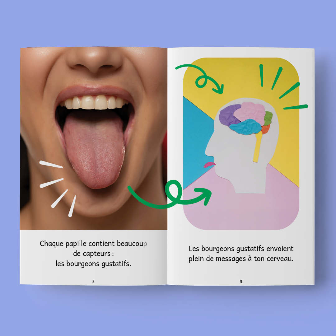 J'apprends 3a - Explorons ! - Series of 30 books