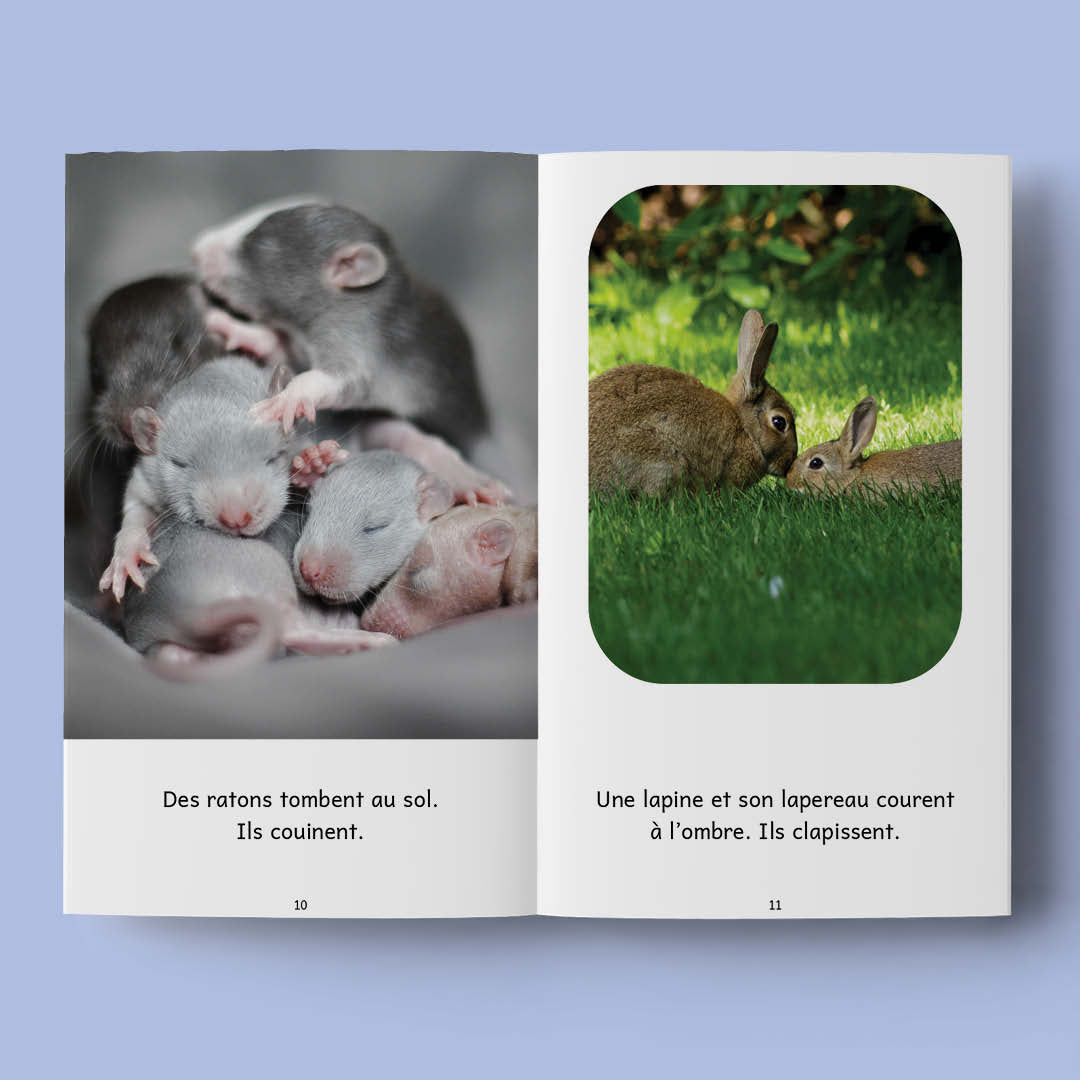 Je révise 2b - Revoilà Tofu ! - Series of 10 books