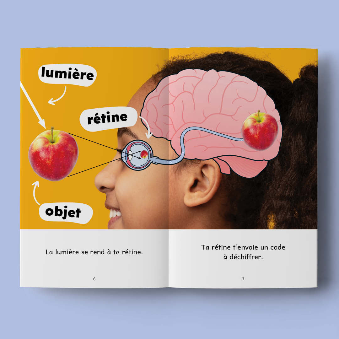Je révise 2b - Revoilà Tofu ! - Series of 10 books