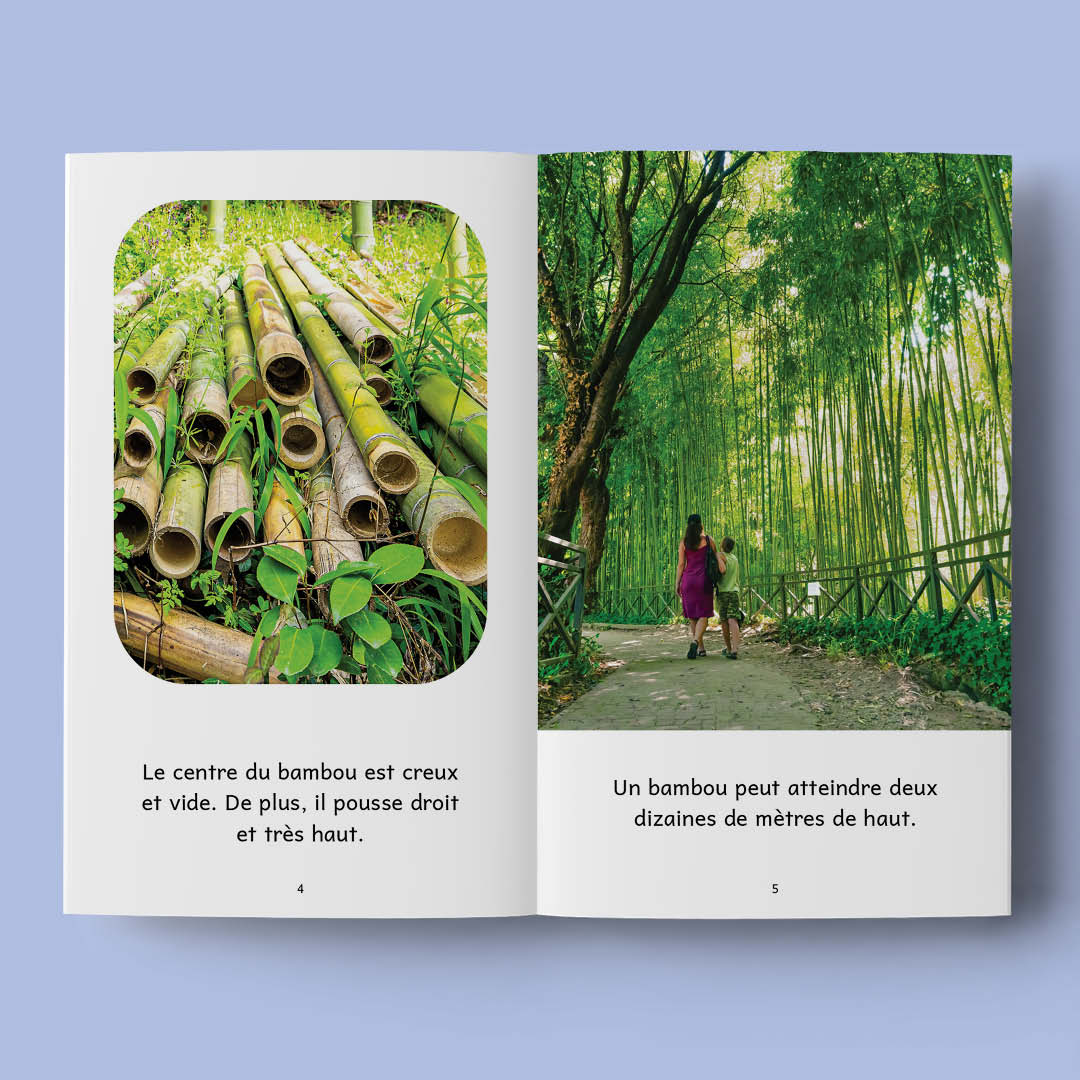 Je révise 2b - Revoilà Tofu ! - Series of 10 books