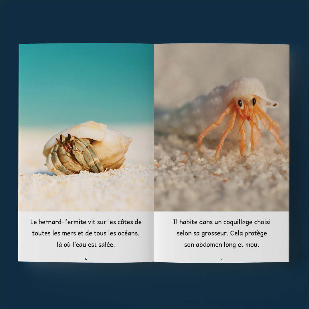 10 livres sur les animaux aquatiques