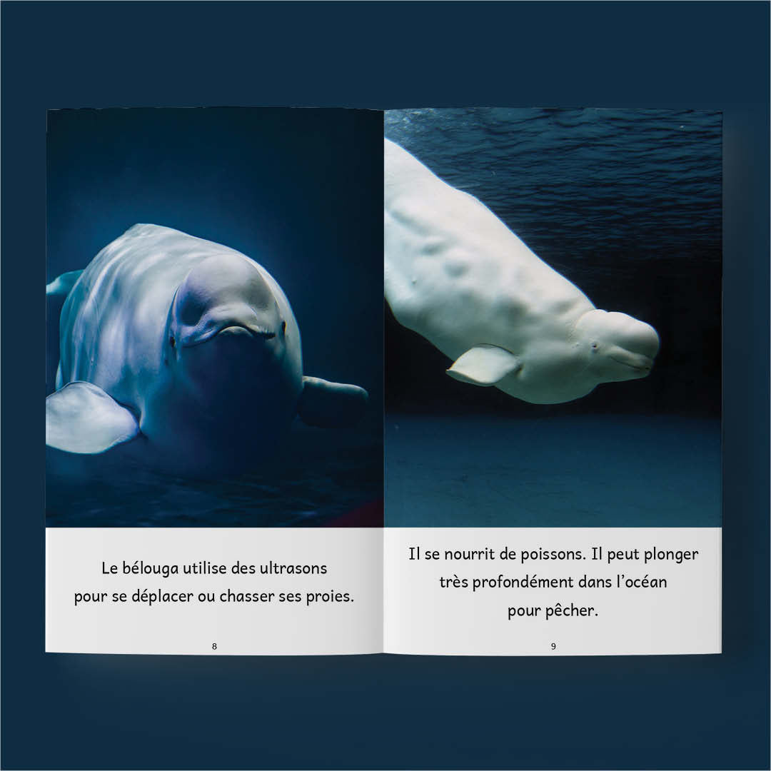 10 livres sur les animaux aquatiques