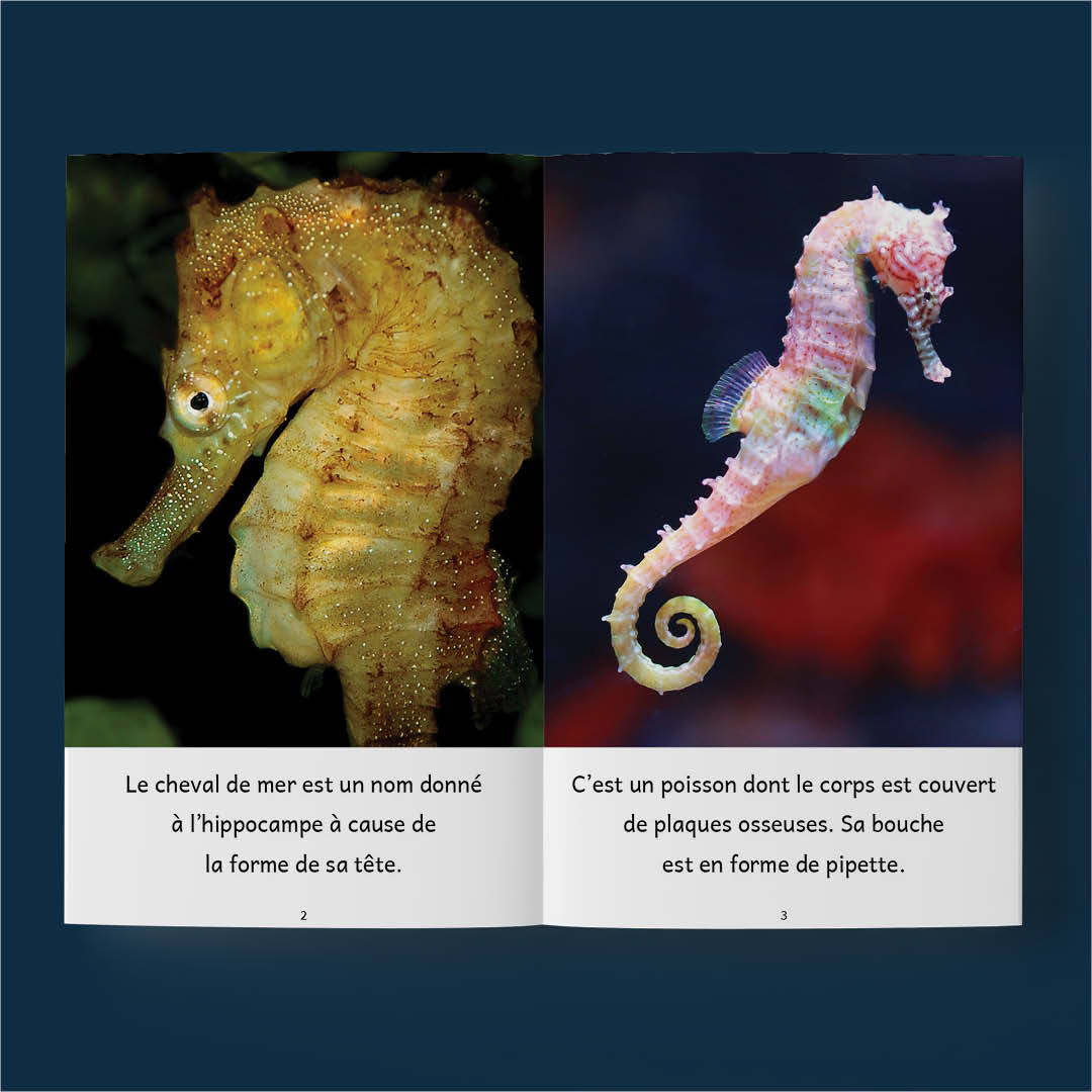 10 livres sur les animaux aquatiques