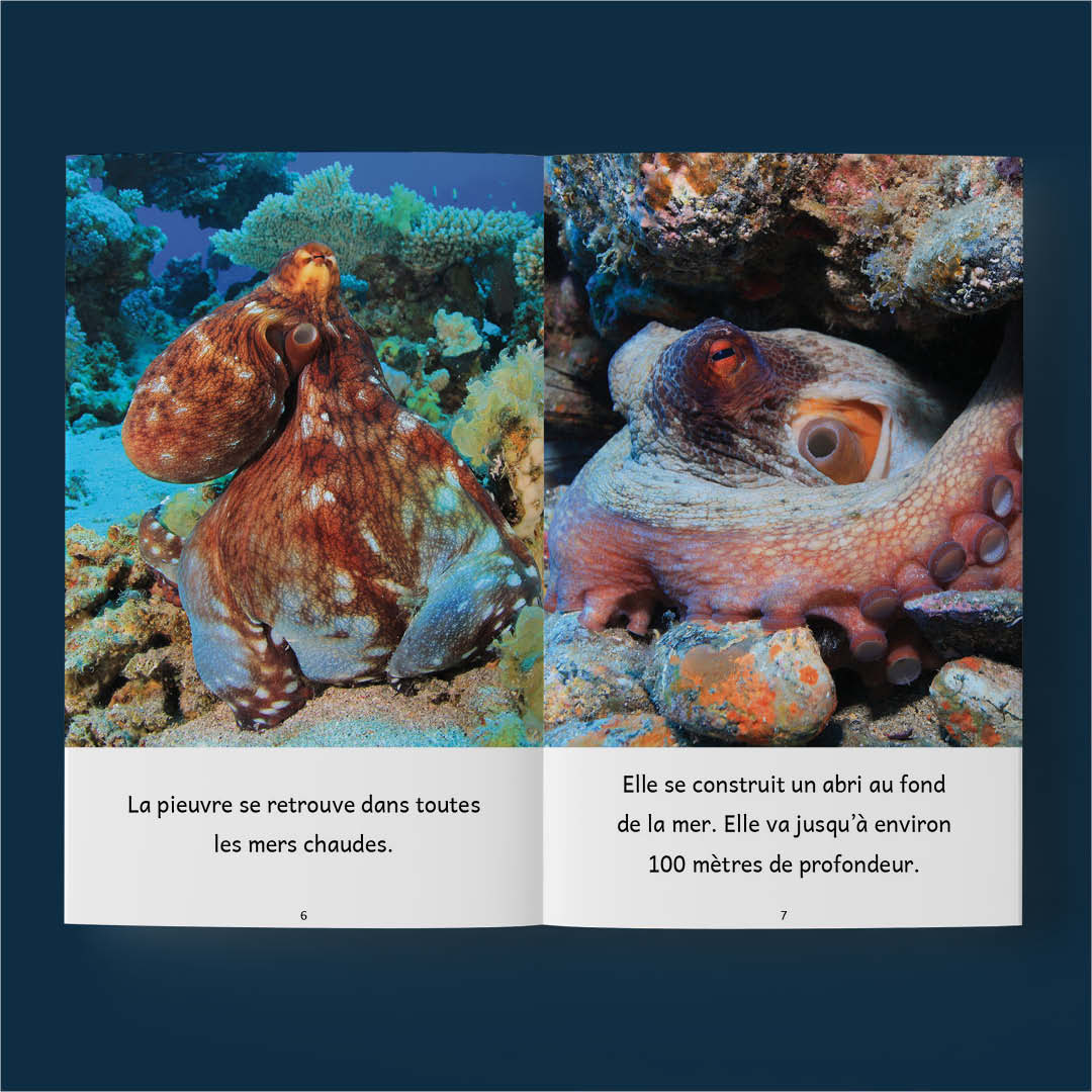 10 livres sur les animaux aquatiques