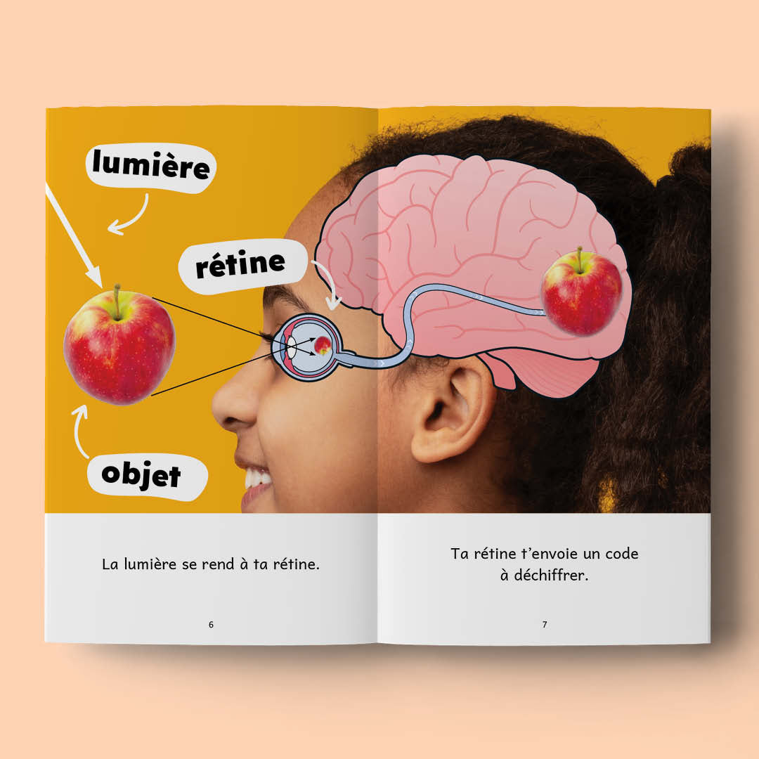 J'apprends 4a - C'est curieux ! - Série de 10 livres - Prévente