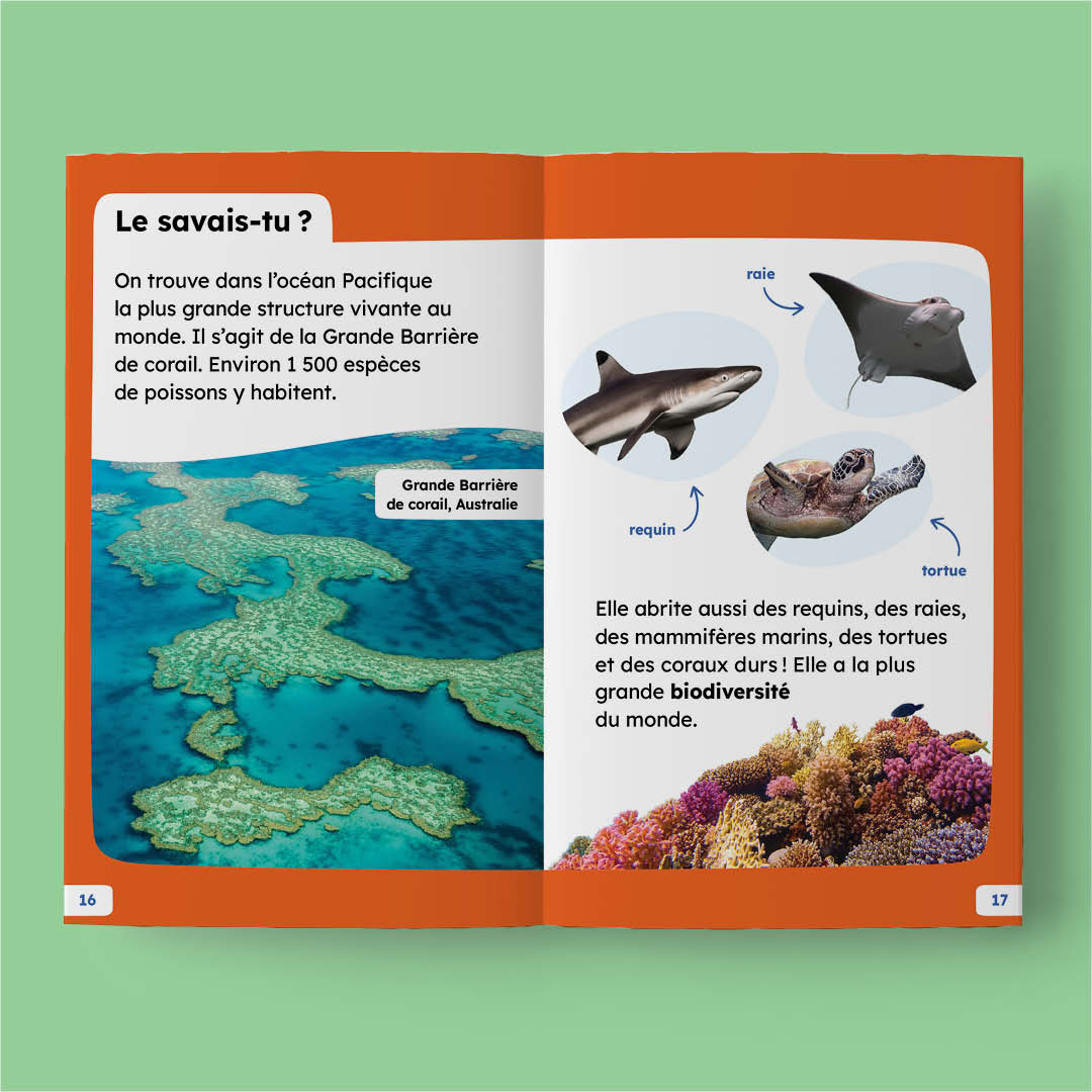 Les 5 océans