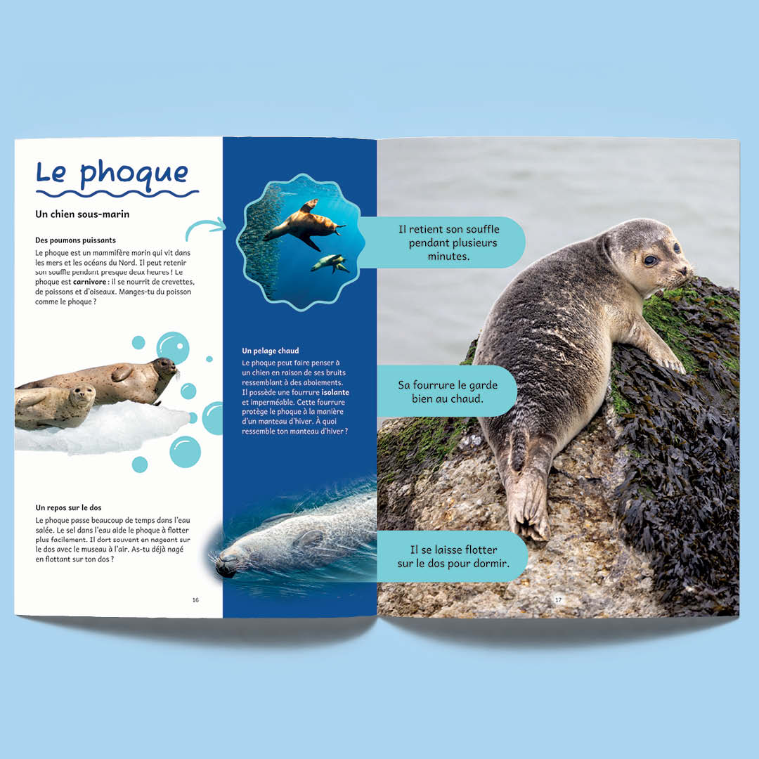 Album : Tandem Animaux du monde 3
