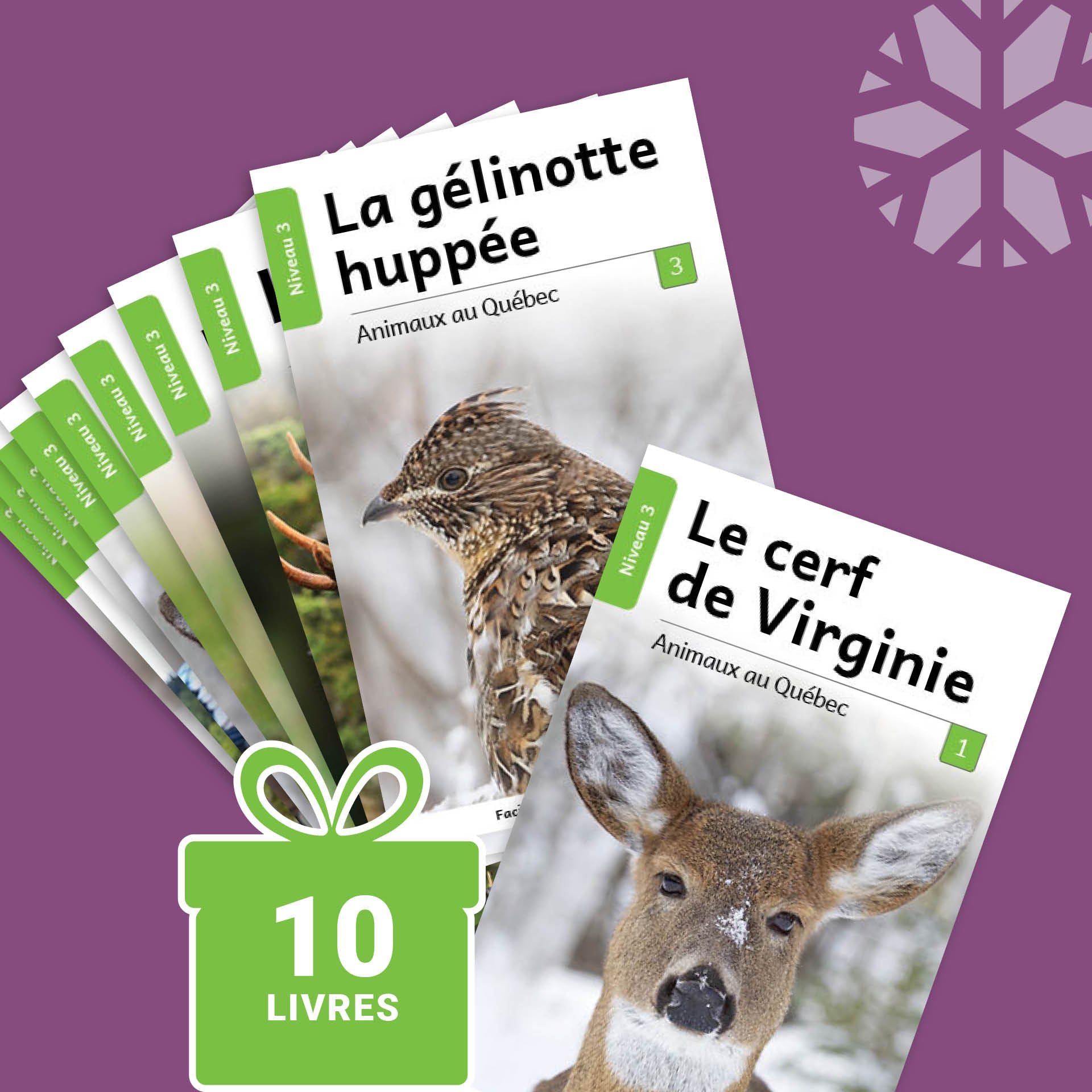 Animaux au Québec (French beginner readers)