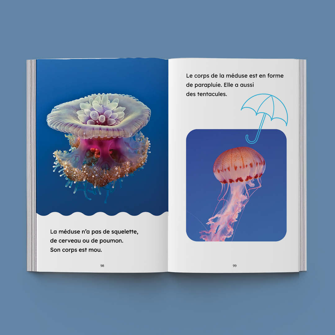 Hi-Lo : Animaux aquatiques