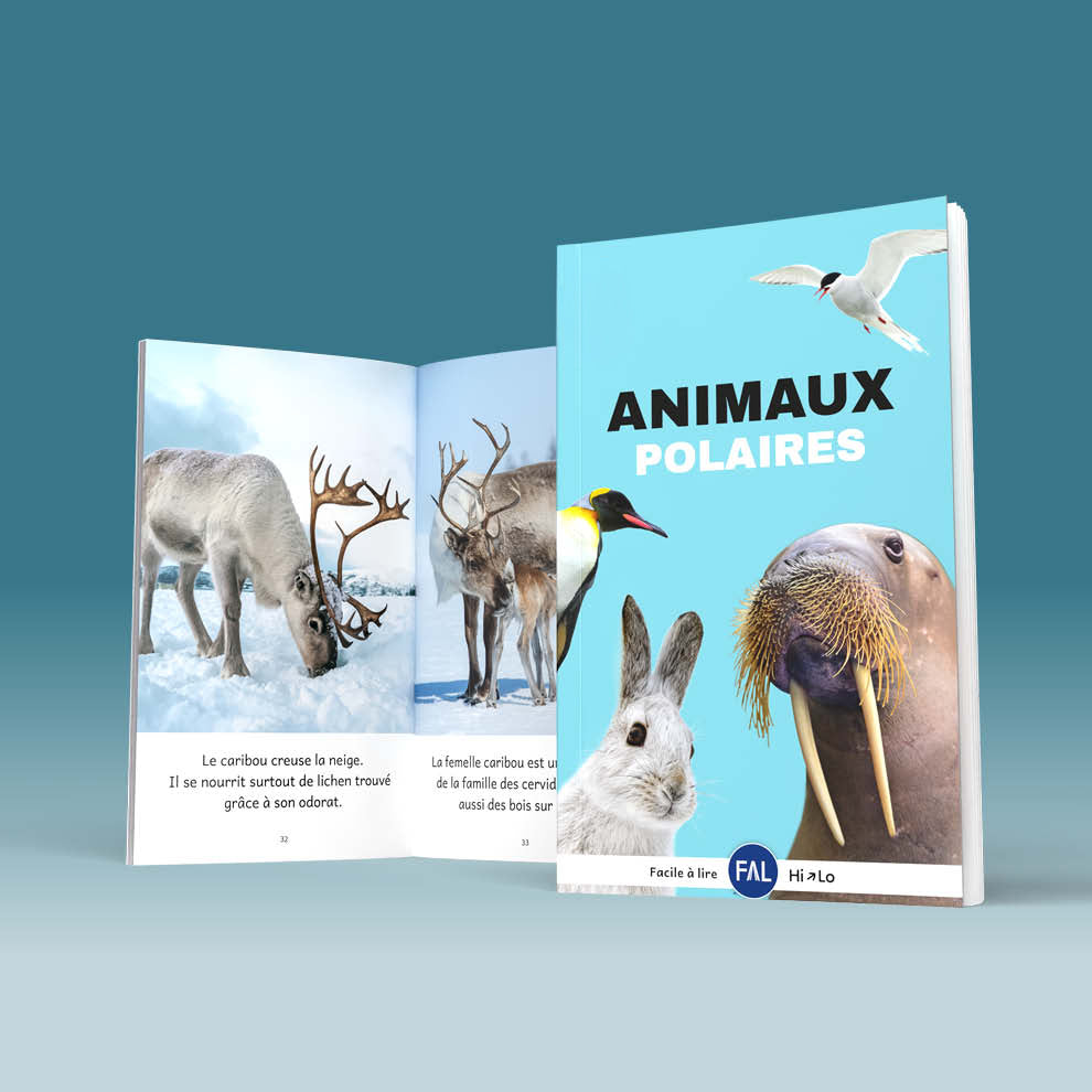 Hi-Lo : Animaux polaires