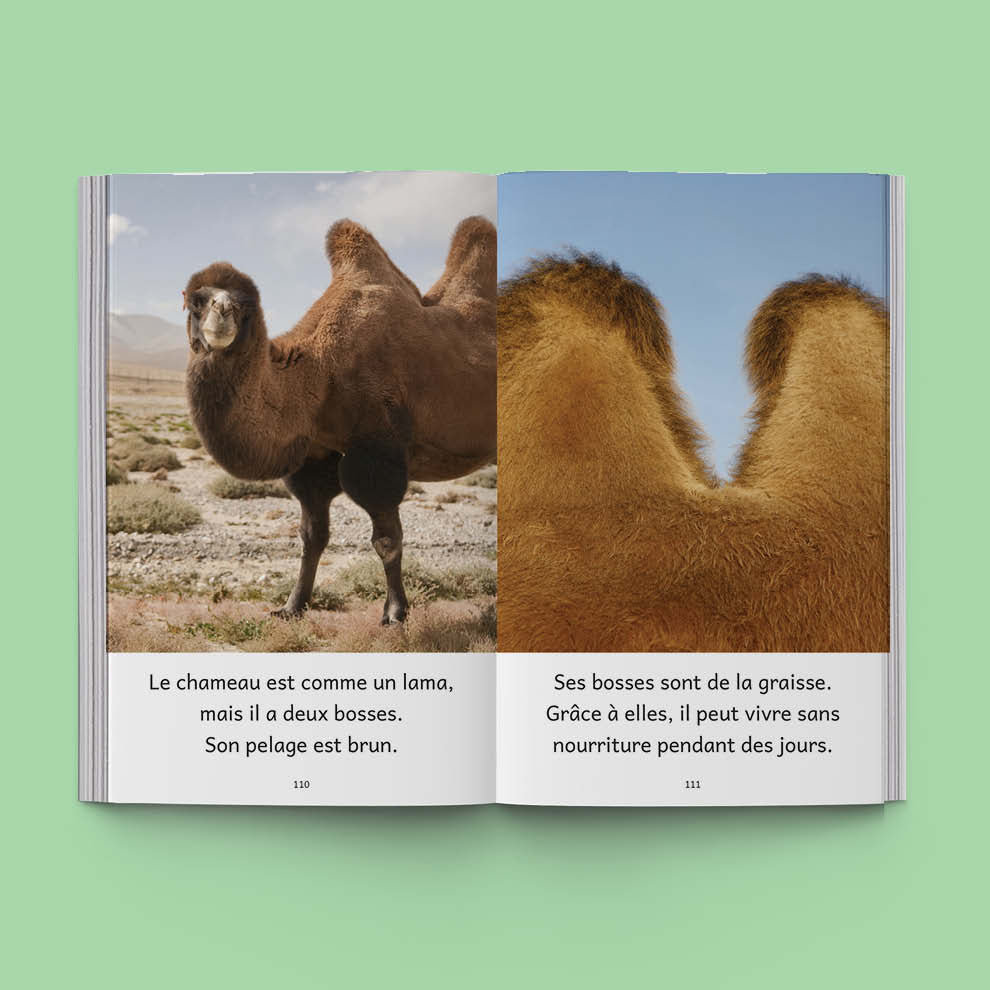 Hi-Lo : Animaux du monde 2