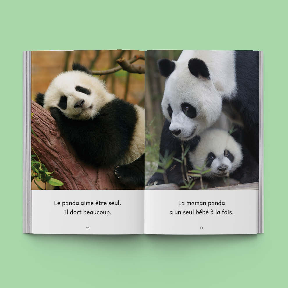 Hi-Lo : Animaux du monde 2