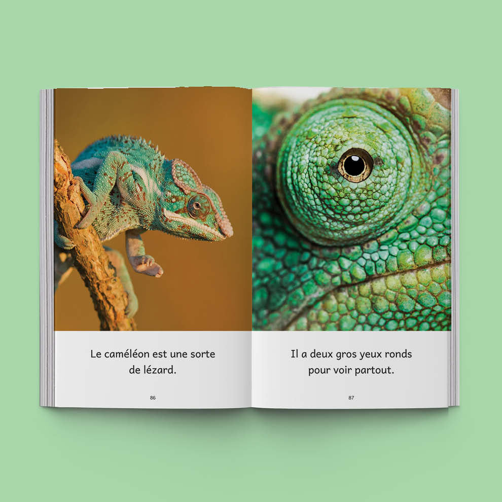 Hi-Lo : Animaux du monde 2