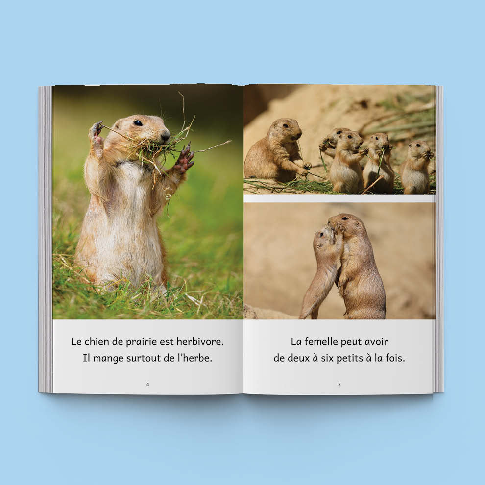 Hi-Lo : Animaux du monde 3