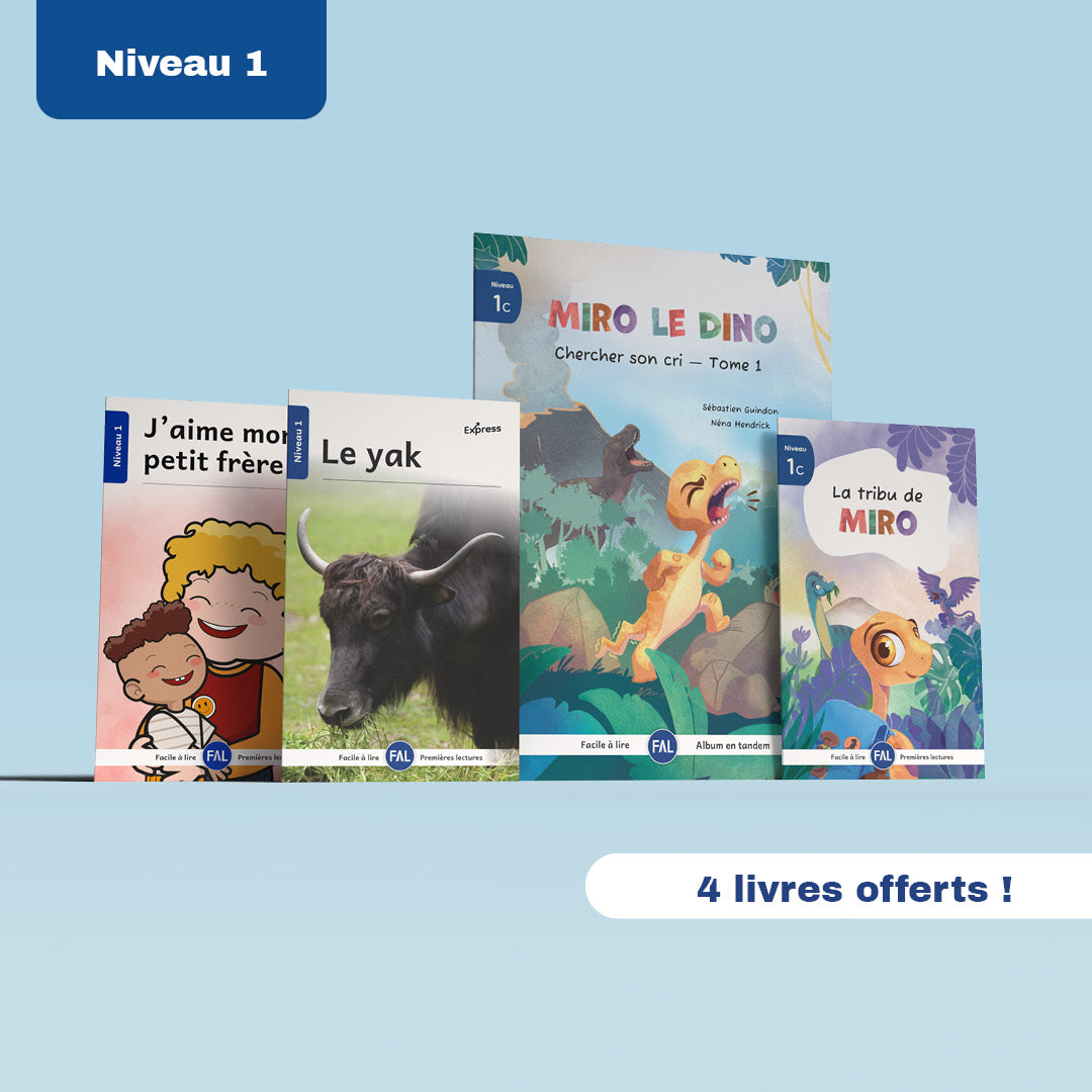 Ensemble de Pré-lecture & Niveau 1 (7 séries, 80 livres)